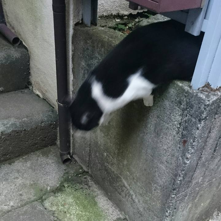 6976da0d 0e49 424c 8d8c da97730176b7