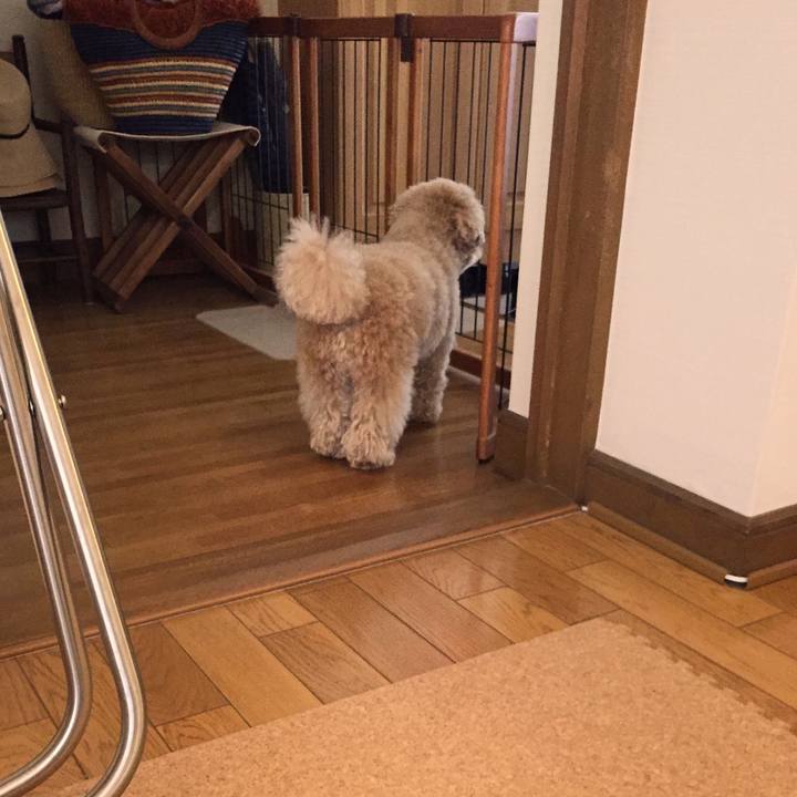 6976daea 0554 4826 845a dd5ff6b213e8