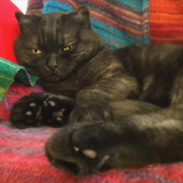 6976dff6 ca36 4aee b634 6f4483388381