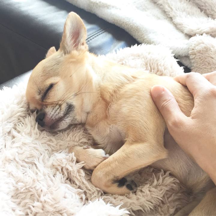 697753d6 a8e0 4bae adee fbc62d487cdf