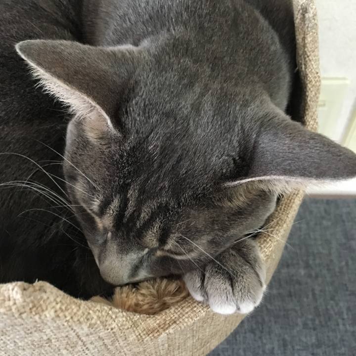 6977d95f b36e 41c5 82c8 772ccd11846a