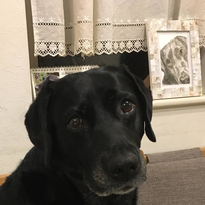 697849fb e6b2 44fe 8aa4 b93238ecfe86