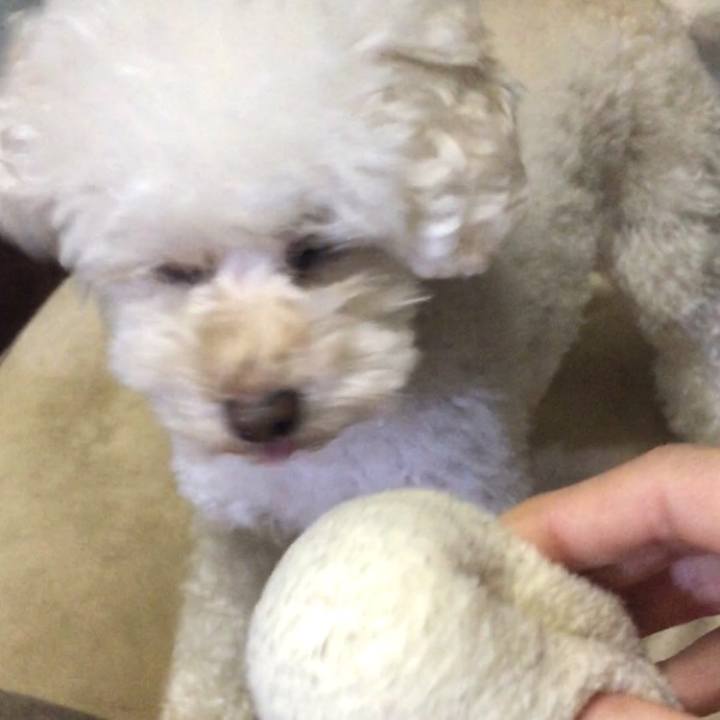 697893db 3fc3 43d6 afe8 08b60f8da695