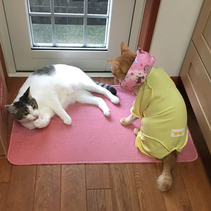 6979ccfd b4c6 4d42 a58e d631f8839114