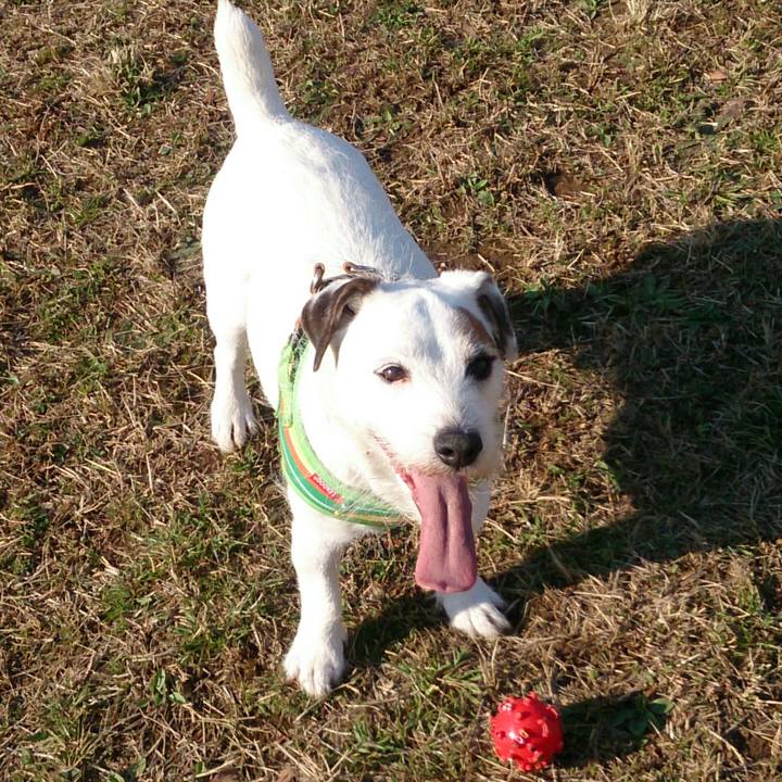 6979cf1a 6f45 41e4 bdc1 ec2a63703577