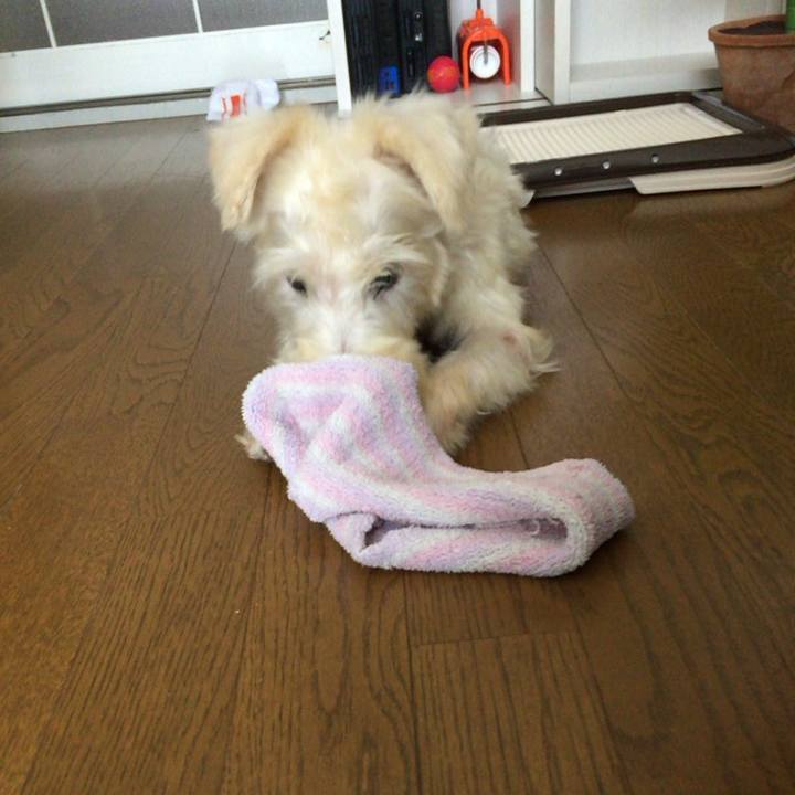 697a6c48 d917 43f8 9ff4 4686dd79c2fa