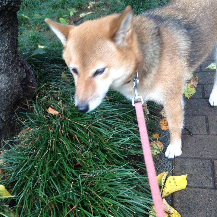 697a98f4 7dca 4188 91c1 21265a0decb1