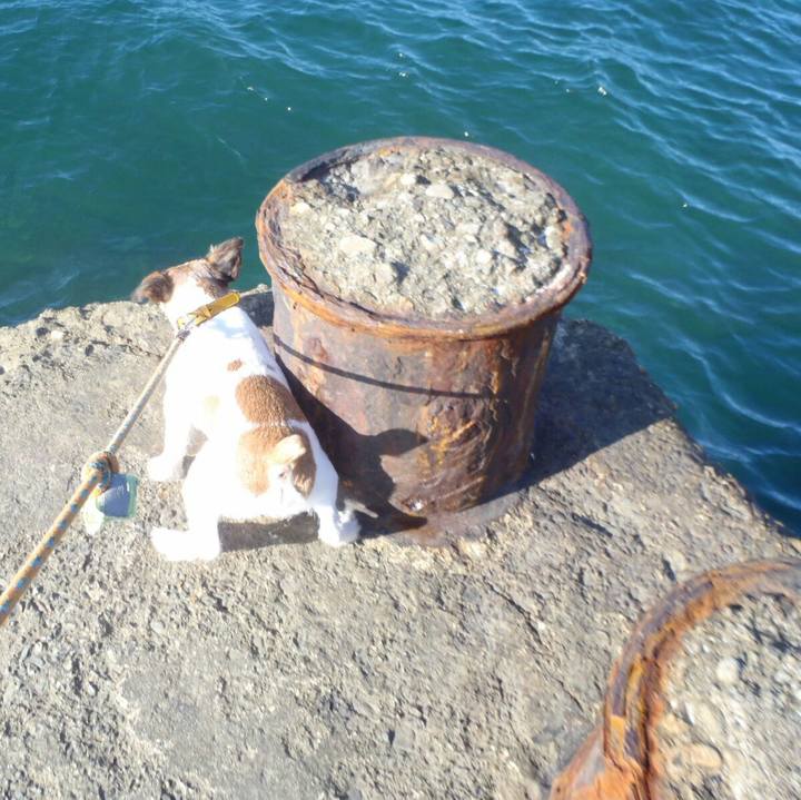 697c23e2 3698 4036 b6e7 529c059cddf6