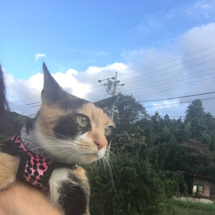 697d13c8 4f3e 4e0a 97a4 658d5d41b1d1