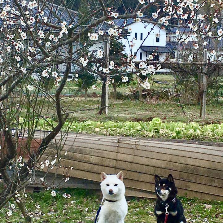 697d4698 3009 4b21 ae1f 15881e880911