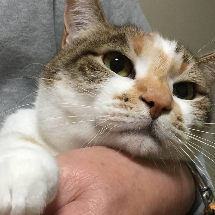 697d4afc b0fe 4a60 97e9 33241f0ff597