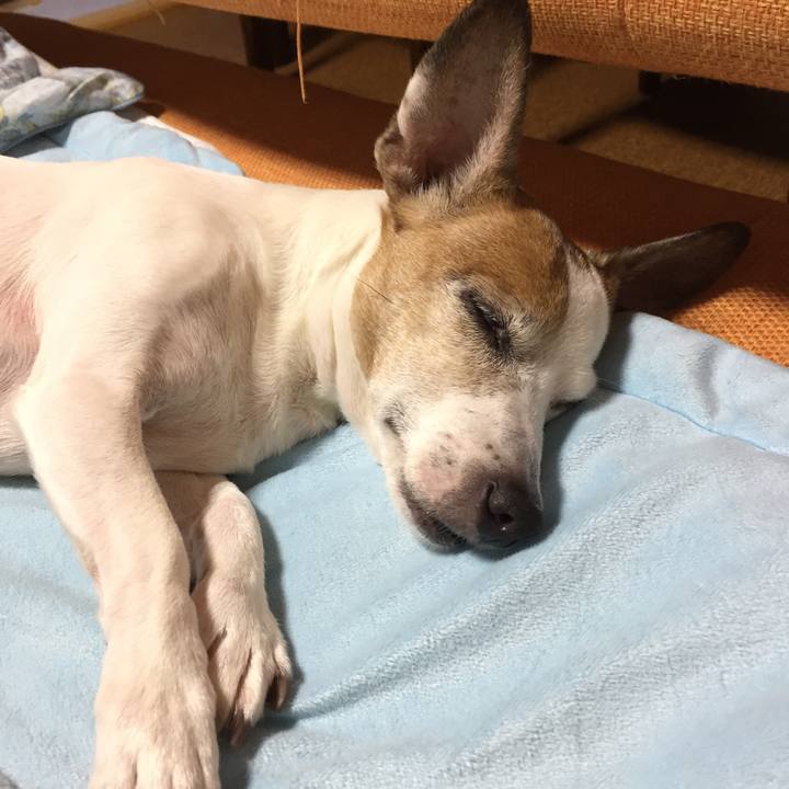 697d5d5a 06ef 4679 b789 d6905d552c5d