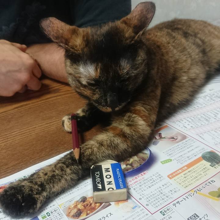 697d860d 81d5 407d 9966 e84835031c45