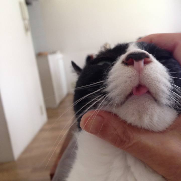 697d9d91 25d9 4983 89ff fee61752696e