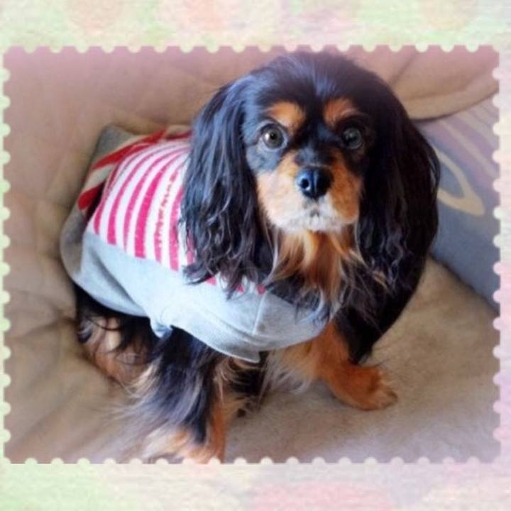 697df81d a9d3 4c3f 8d7c 9d431d7ecbd5