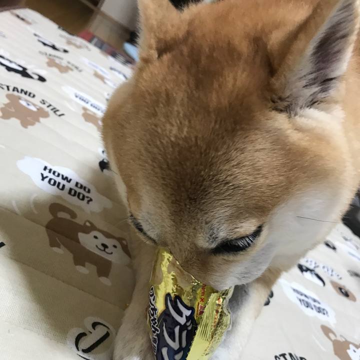 697e927e f64f 43d6 8ca6 17b8d0e6931d