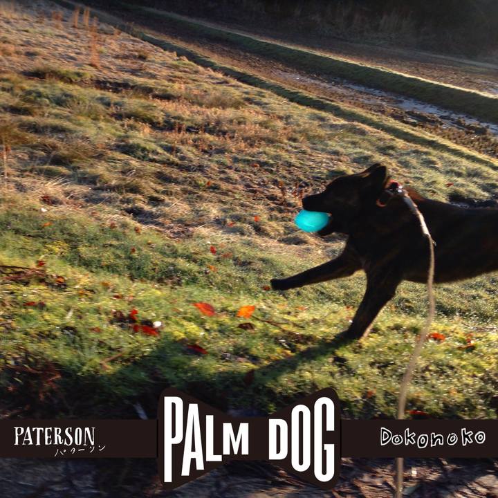 697ef332 0561 4bbb bad6 97d27c99f0c4