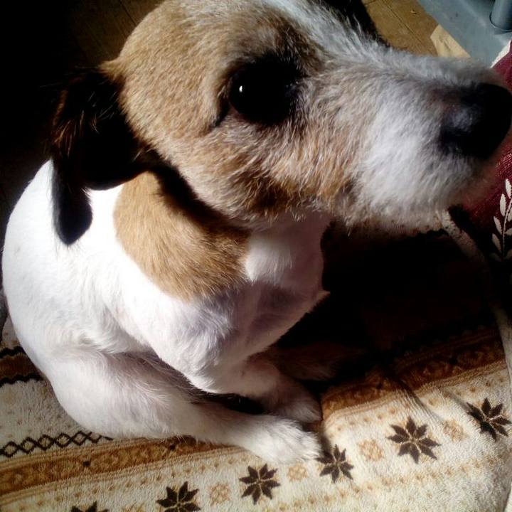 697f1dc4 e111 482b adab 3f32a04371ce