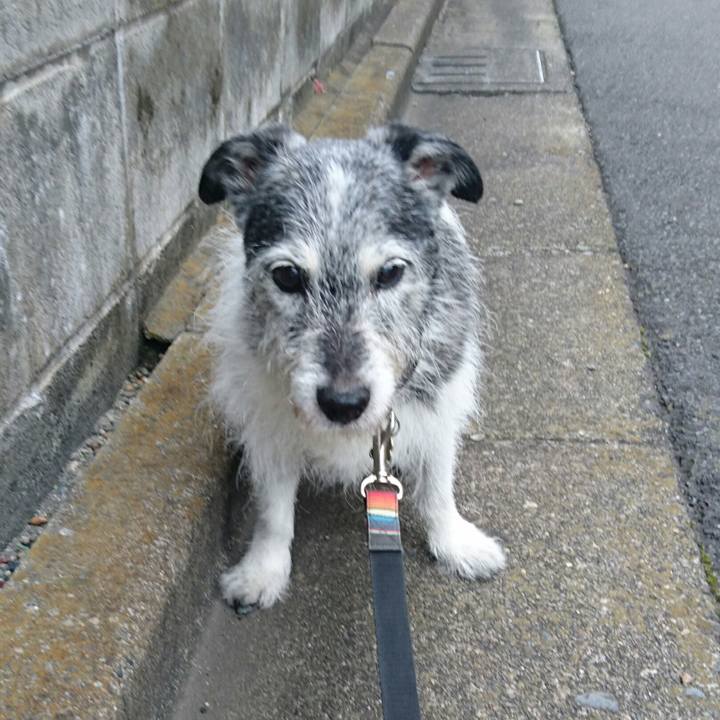 697f4343 2a6e 4f21 8ecf c26edf778ca0