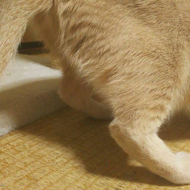 6980073e a50e 41a2 bdc4 cd5559f42802