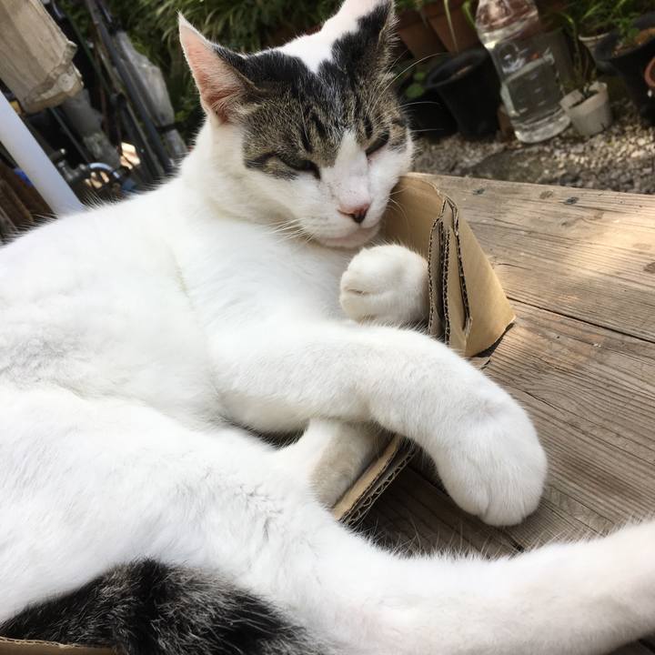 6980203c 8d2a 41f2 b96d e79412a30f33