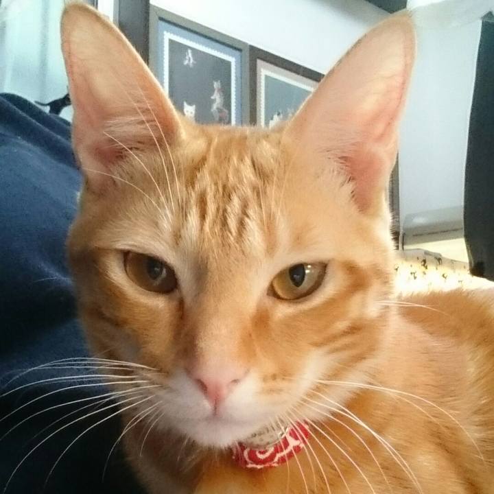 69804576 48c2 47ec a8ba 506ed52119dc