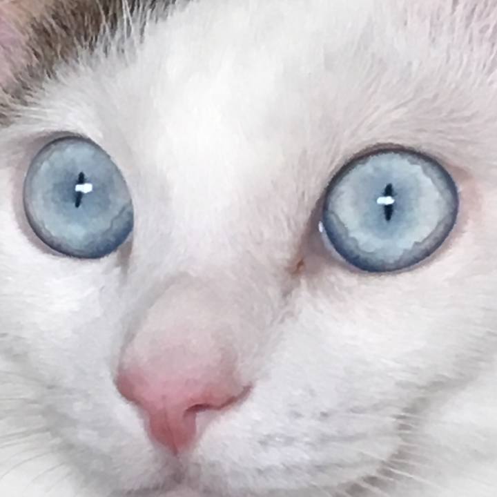 6980e51d 45c0 4455 94dd 91e0c5c92467