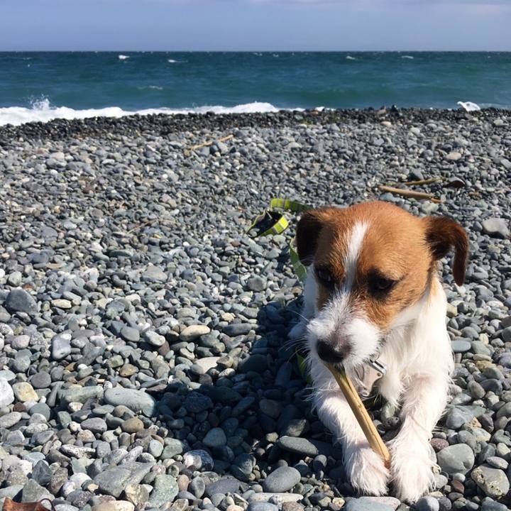 69811237 239a 4c44 b2f2 9875947ef371