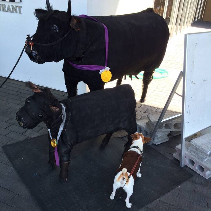 69816160 78b3 49f7 9ca5 61ef5909d08c