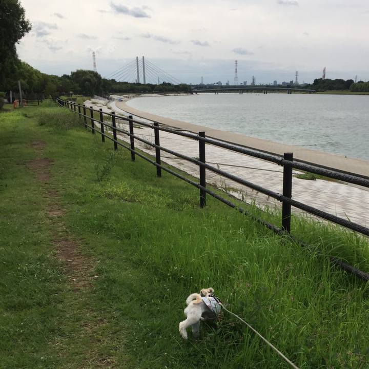 6981abd7 4f74 446a 83b3 6ba619c880a5