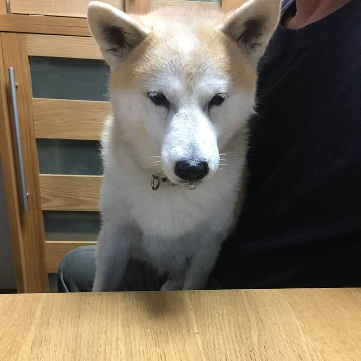 69823fd3 bb9f 40ab 8e95 9ba5976f57de