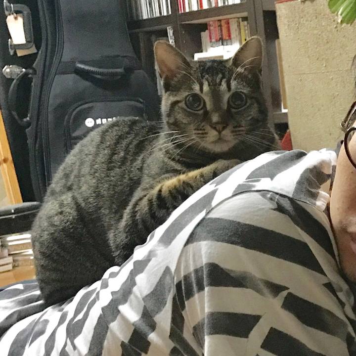 6982e0e7 5d63 42aa a3cc 0baf70d2d493