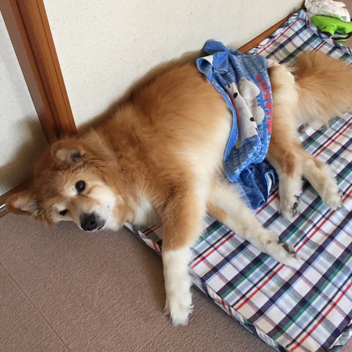 69832560 f8db 499d 9687 b65b787a4185