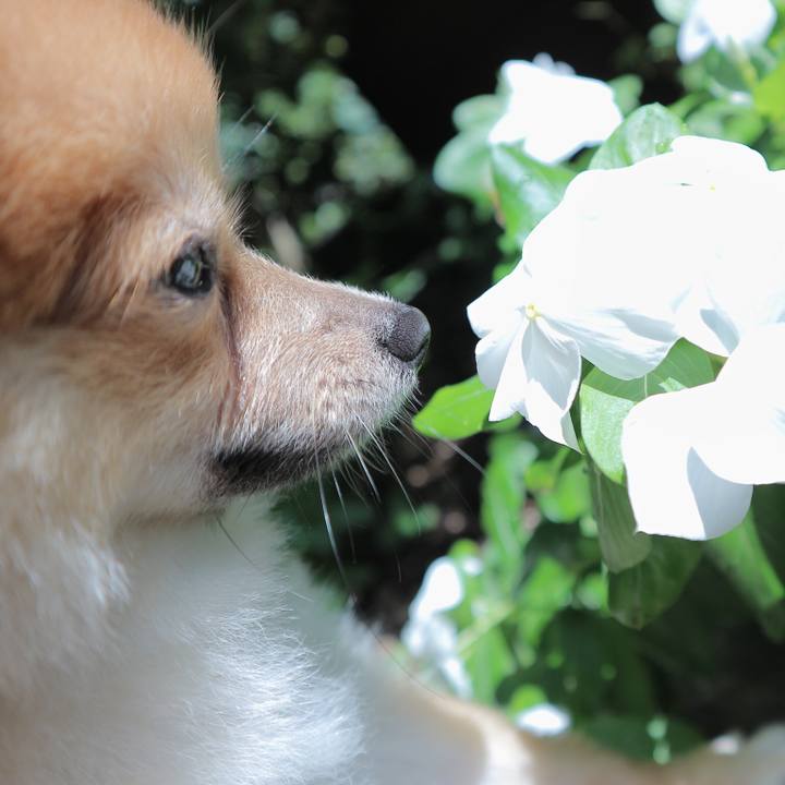 69833dc1 0c78 4545 84f0 9afe96204852