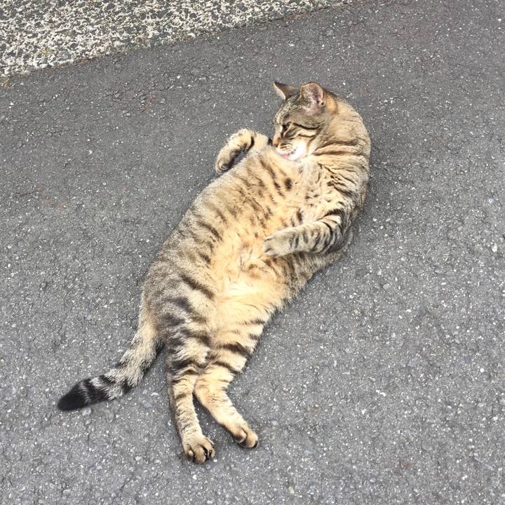 6983b603 cf82 4057 bd39 3c36006b2360