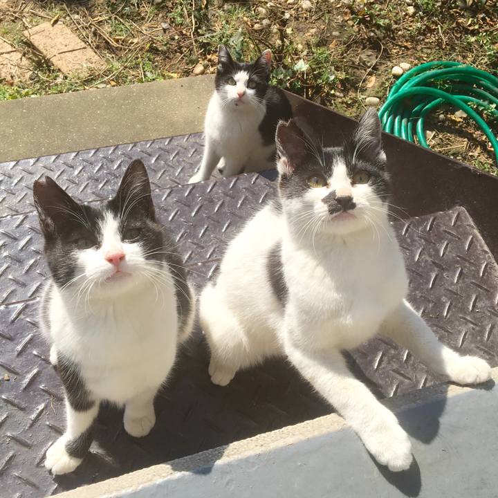 69841e71 c128 440e 89df 29cc488ee8fb