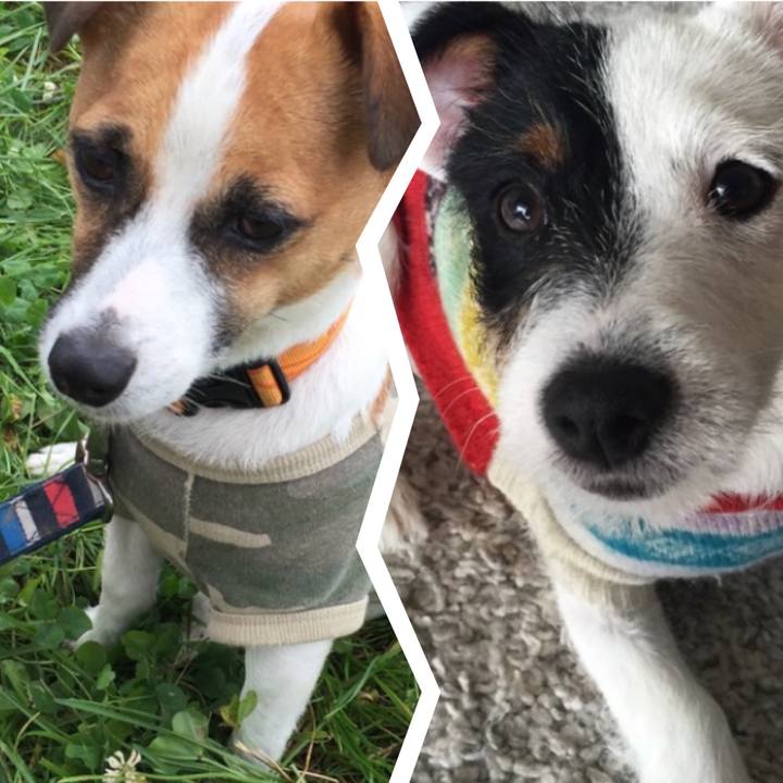 6984fe03 c4c5 4542 8b45 0eed506fc43d