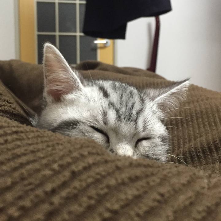 6985eb32 8ca7 415e b96a 9c081f093d85