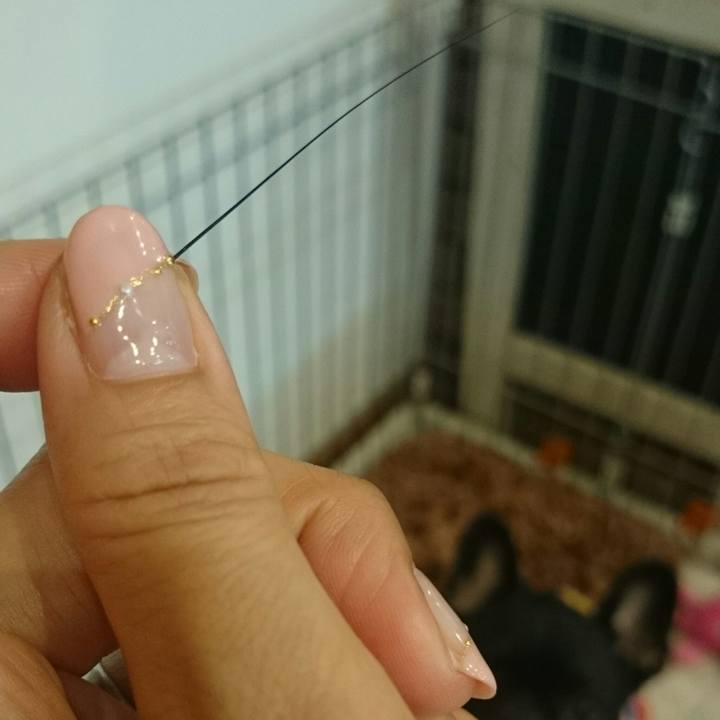 69861a0b 8c85 481b 99bf f76508c89742