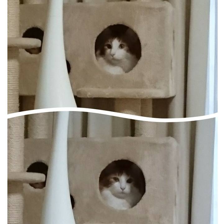 6986a4c4 be94 48d6 abdb 16e8c757d8f1