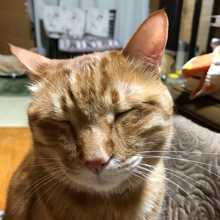 6987dd01 9b71 4a9b b61c 7ab3b0725f5c