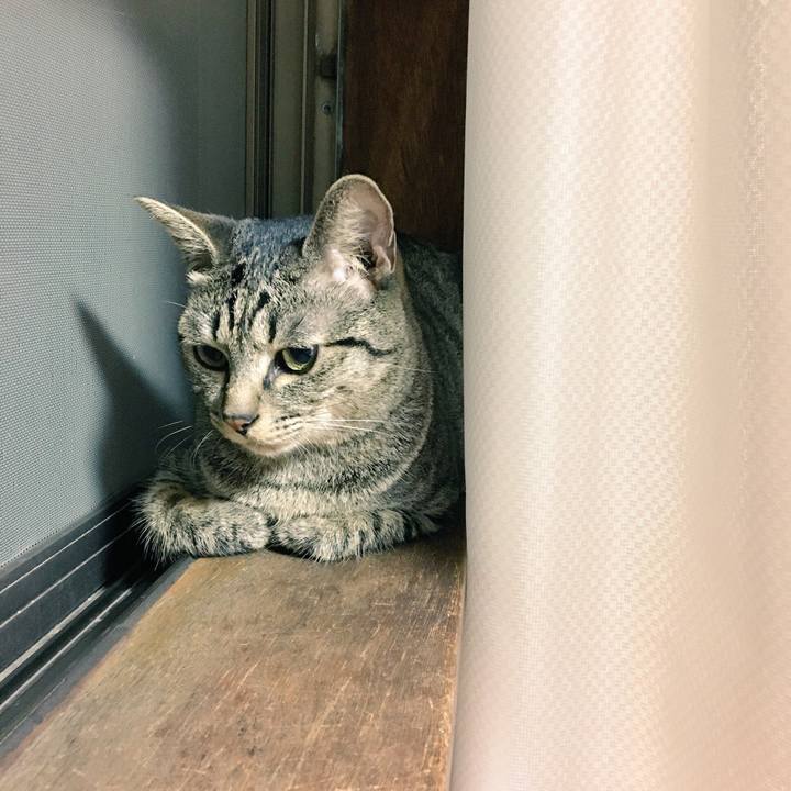 6987f955 5d51 47be 8782 99c2dfc4310f