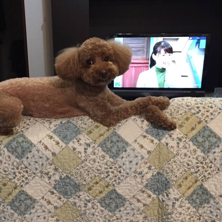 69880aa1 a98f 409e a023 109c4118e918