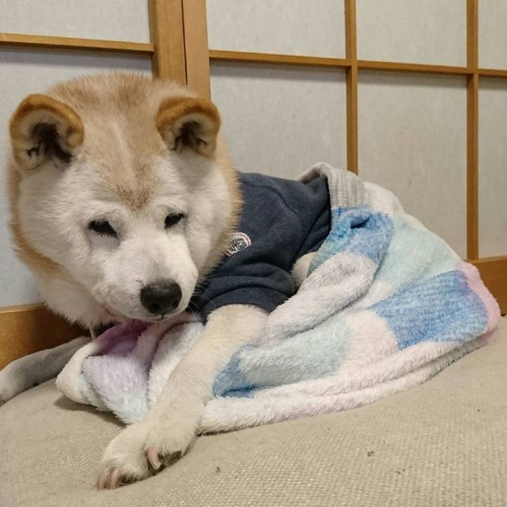 698812dd af64 429d 9372 fda77e298241