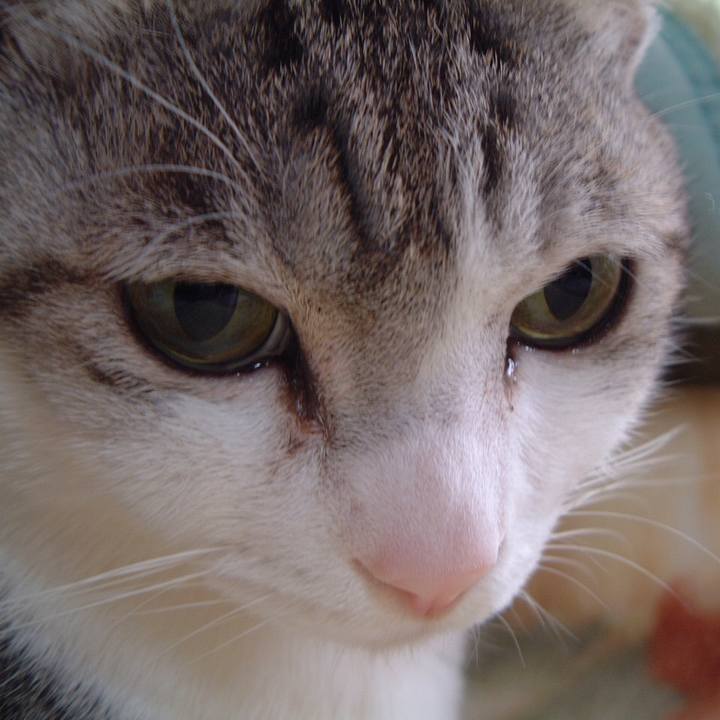 69884872 ea98 4be9 a366 7a3e56b9ac11