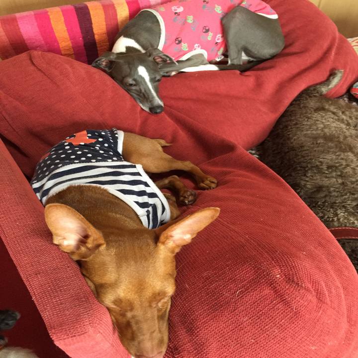 698884ba 44fe 4fc0 a3ff ab6443cdbc58