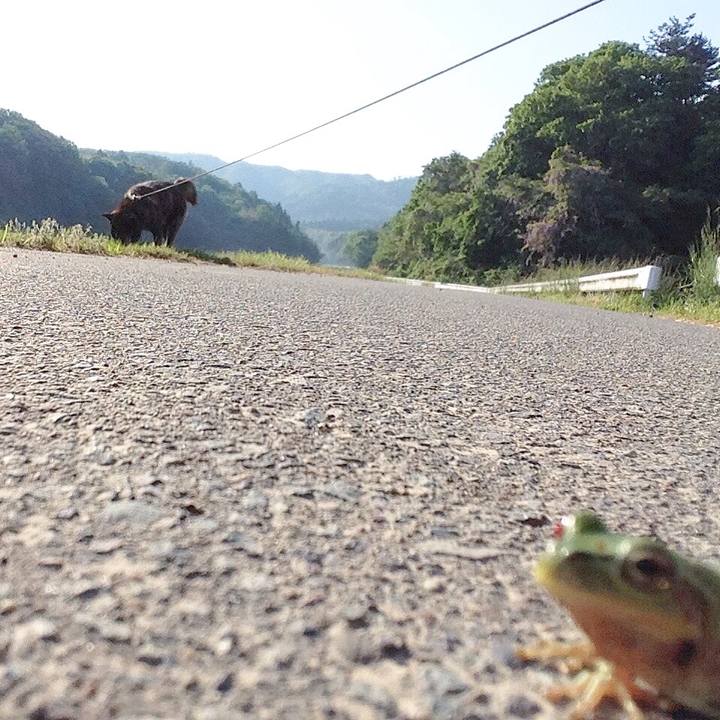 69888d0d 9dad 4a63 884b 2021a6df0fbe