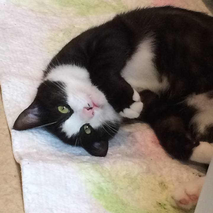 6989401b c167 4a7d 9abf fd4186674dec