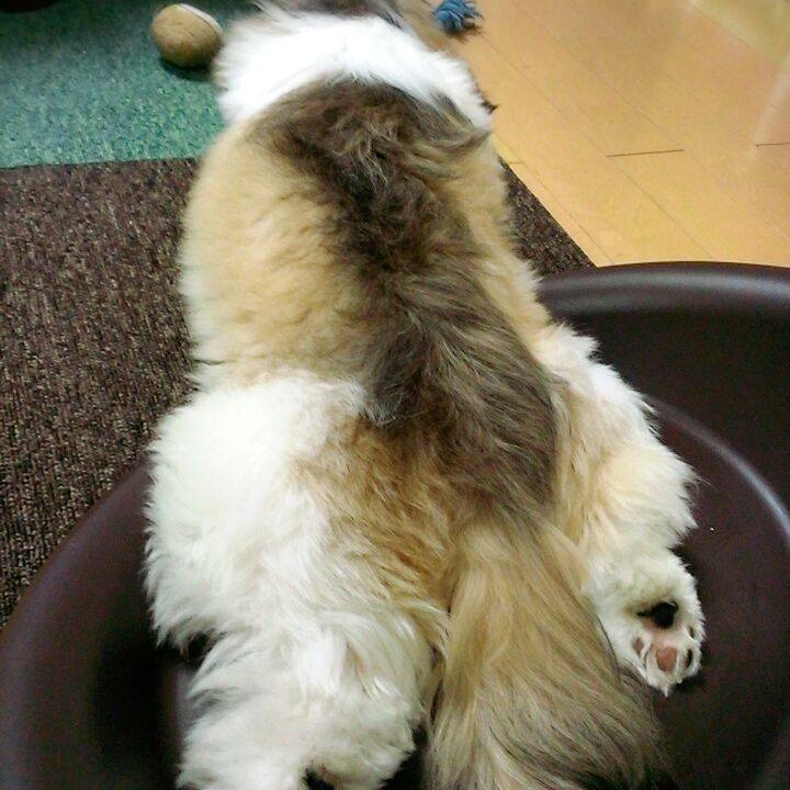 69894228 e83b 44c9 af7b 6823c64d9b0a