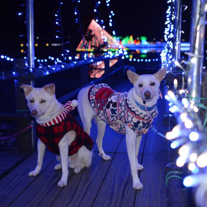 698957fe dc0c 4c74 b547 ef128e1634ce